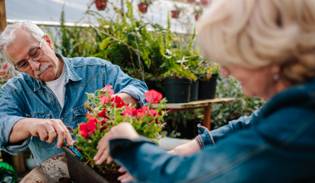 The three phases of retirement