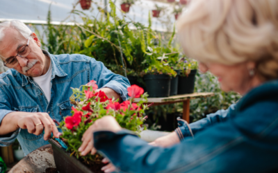 The three phases of retirement